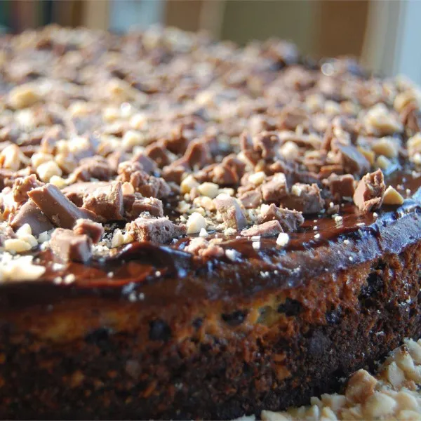 Chocolade Cheesecake Met Heavenly Chocolate Chips En Hazelnoten