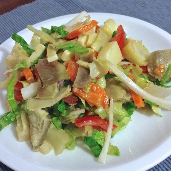 Gekookte en Rauwe Salade