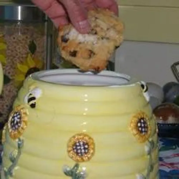 Leverdatum Van Koekjes I