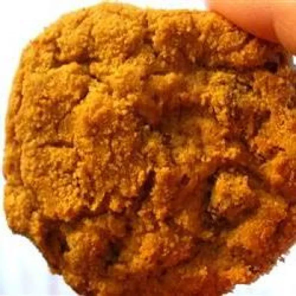 Krokante Kaneel Graham Koekjes