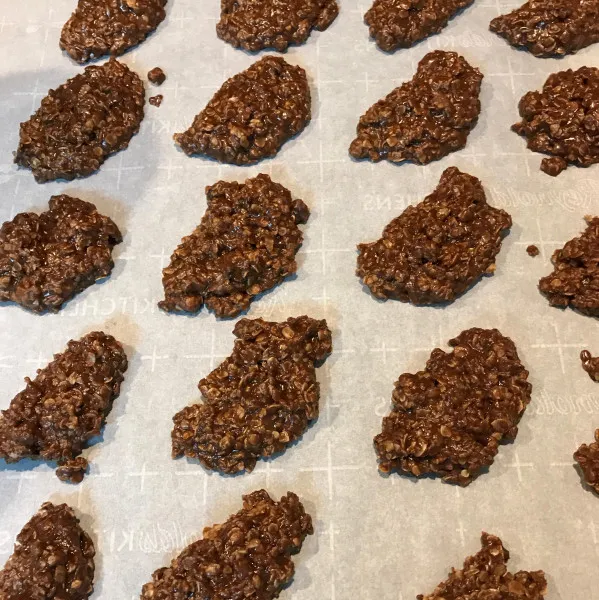 Havermoutkoekjes Met Chocolade Zonder Bakken
