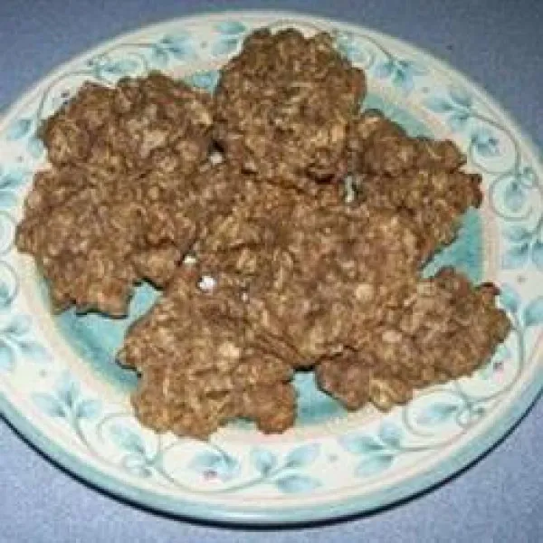Papa's Havermoutkoekjes
