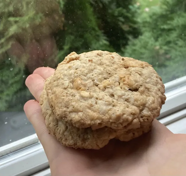 Havermout- en Butterscotchkoekjes