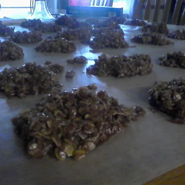 Ongebakken Chocoladekoekjes I