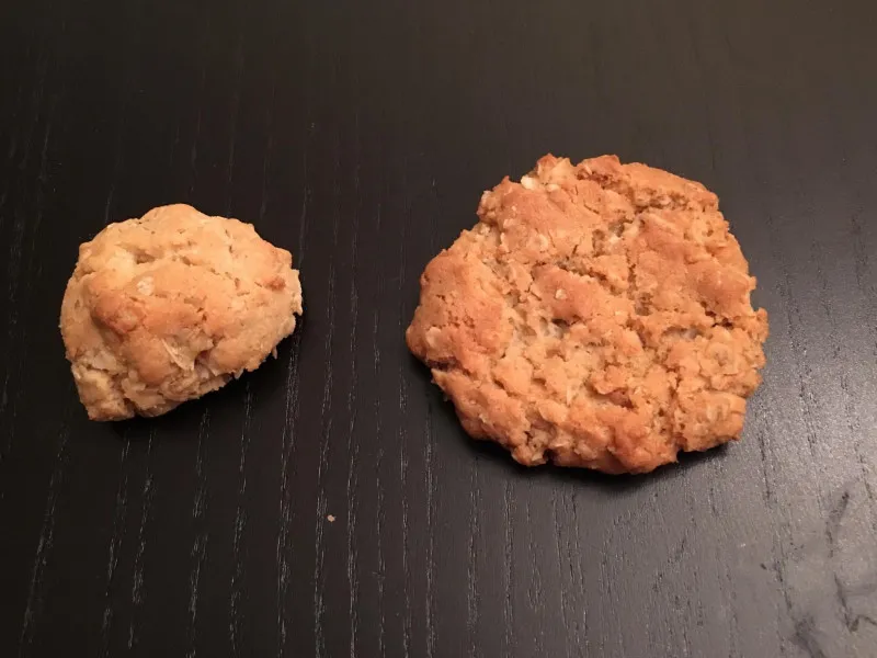 Boswachterskoekjes I