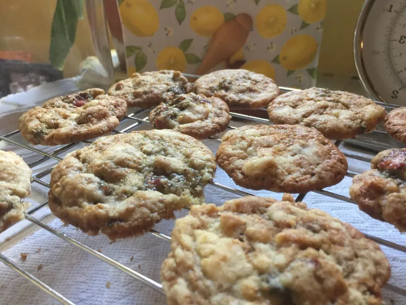 Verse Vijgenkoekjes