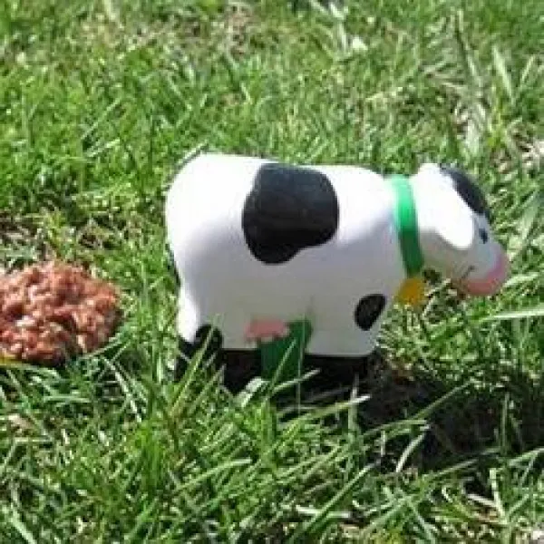 Patty de Vaca Koekjes