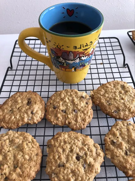 Havermoutpuddingkoekjes
