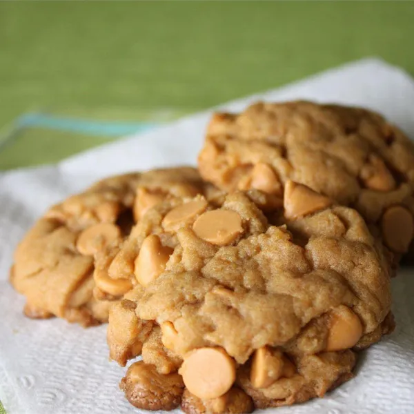 Chocolade Chip Pudding Koekjes