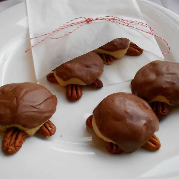 Snelle Schildpadkoekjes