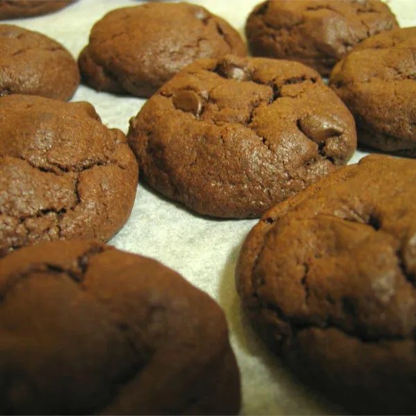 Kauwgom Chocolade Koekjes I