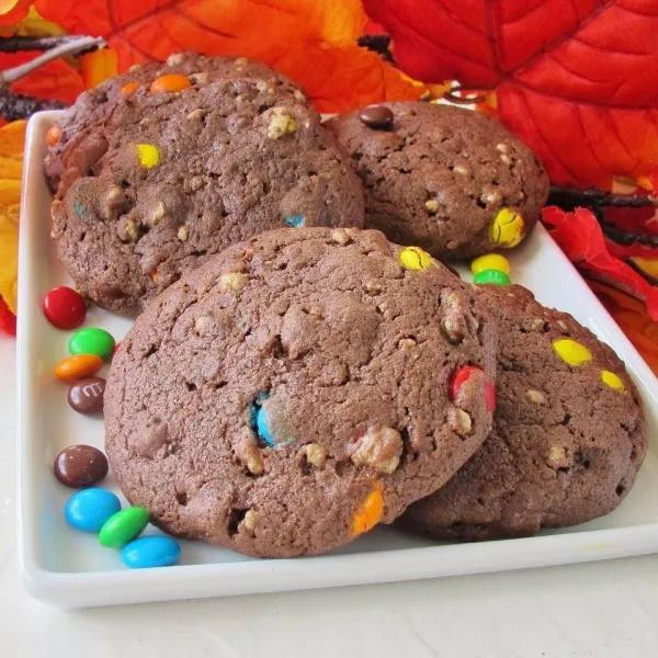 Gemengde Koekjes Voor Taart Met Chocolade Chips