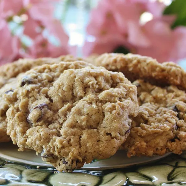Pittige Havermoutkoekjes Met Rozijnen Van Beth