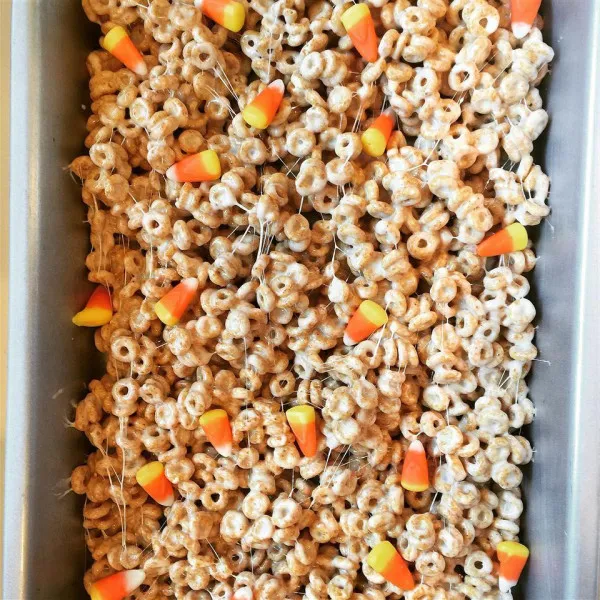 Pompoen Geluk Snacks