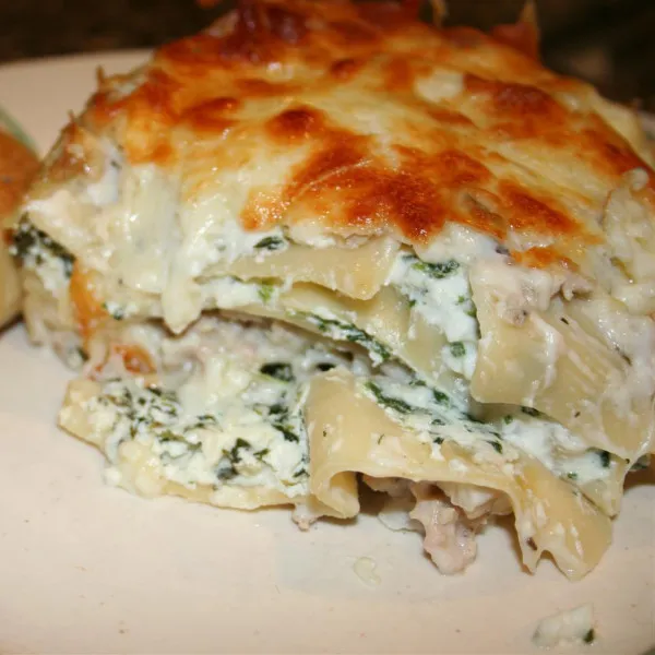 Kip Lasagne I