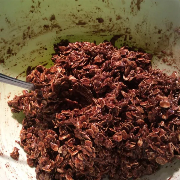 Havermout En Cacao Macarons