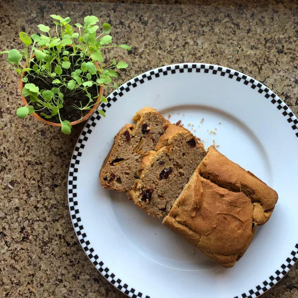 Persimmonbrood I