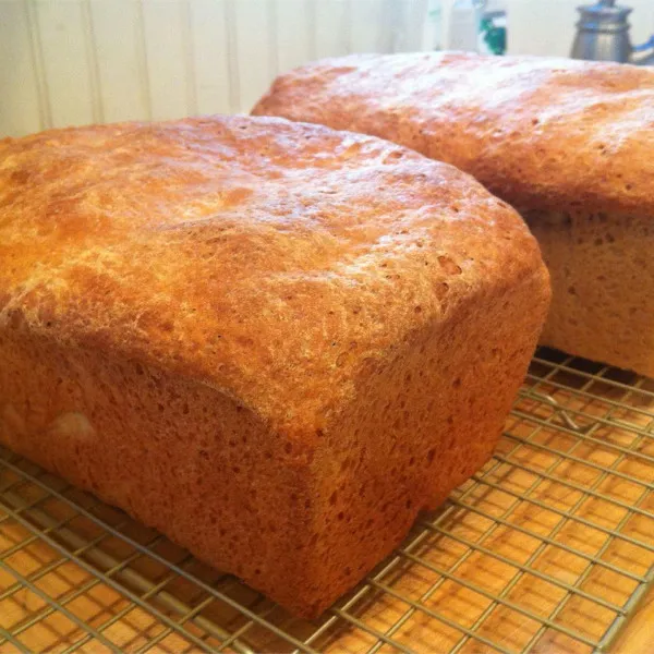 Tarwe Brood Met Honing II
