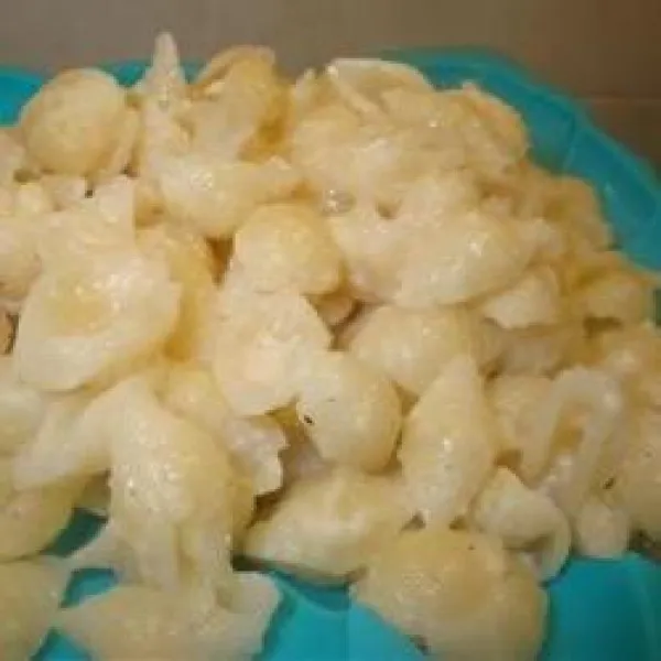 Gourmet Pasta Voor Universitaire Studenten