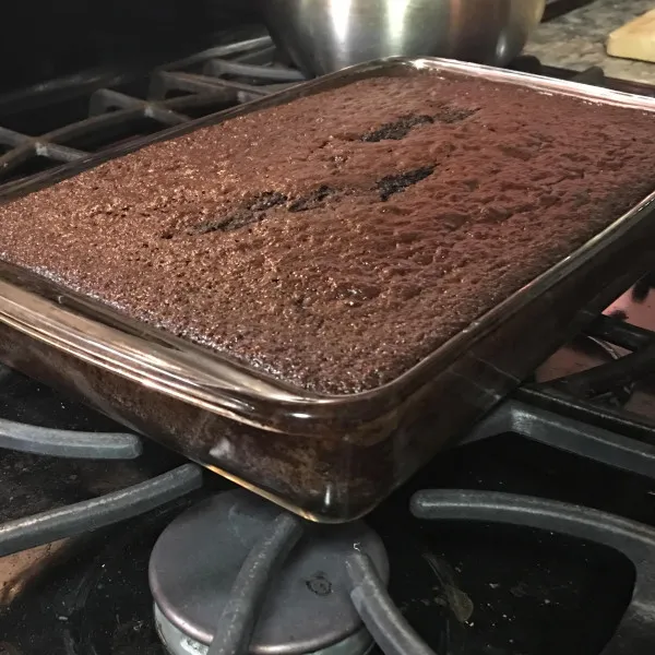 Chocolade En Bosbessen Gistdeeg Taart