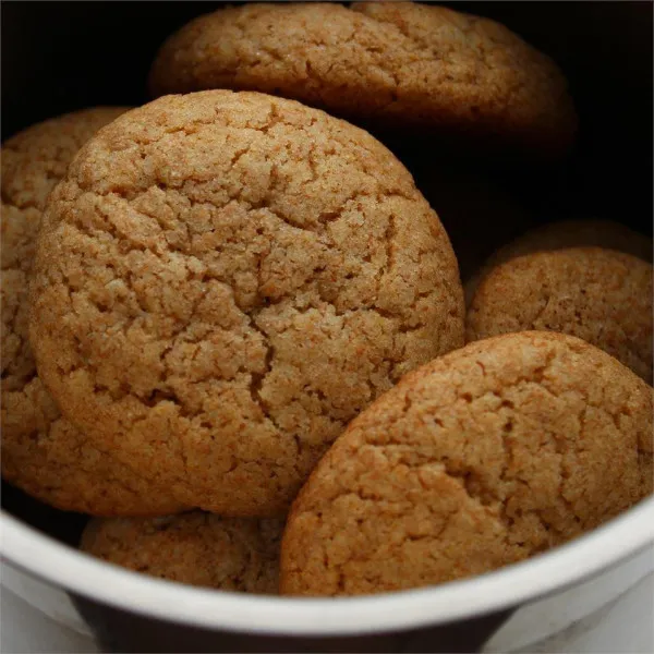 Volkoren Snickerdoodles I